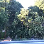 Park * Сплит