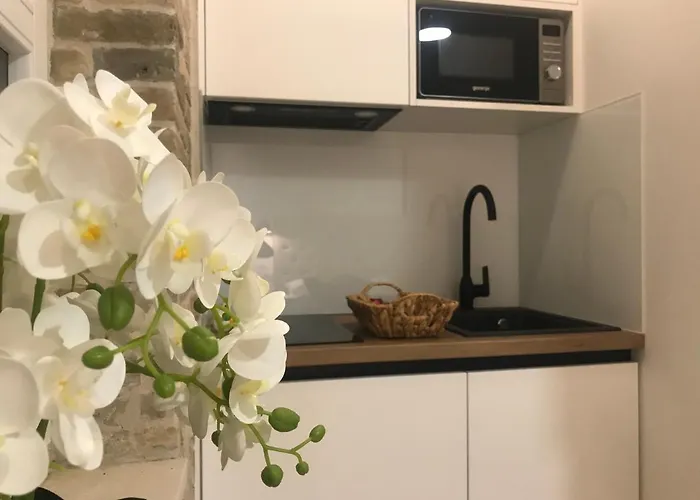 Apartmán Park Split